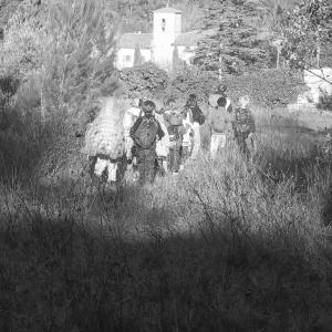 Après un bon pique nique et la fabrication de cabanes, nous retorunons au centre