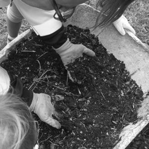 évacuation de notre compost