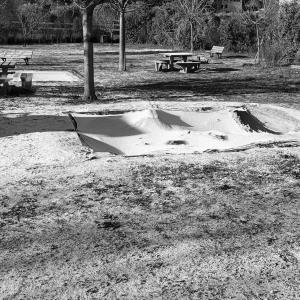le jardin sous la neige